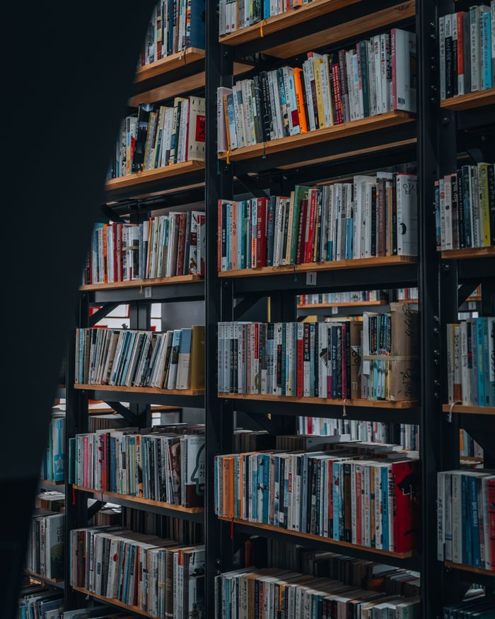 Cozy library interior featuring organized bookshelves full of diverse books in Seoul, South Korea.